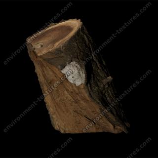 3D Scan of Tree Wood #5